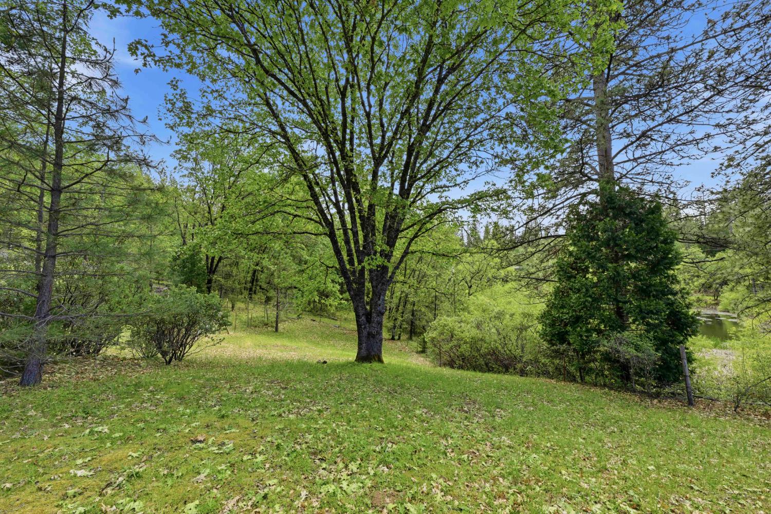 6169 Sweeney Road