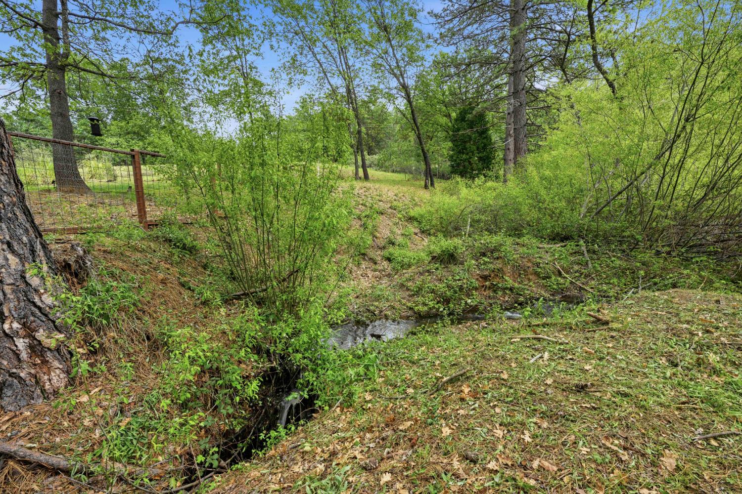 6169 Sweeney Road