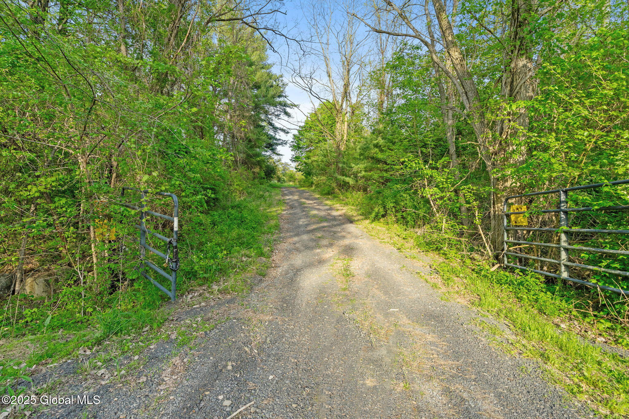 L6.2 High Rock Road