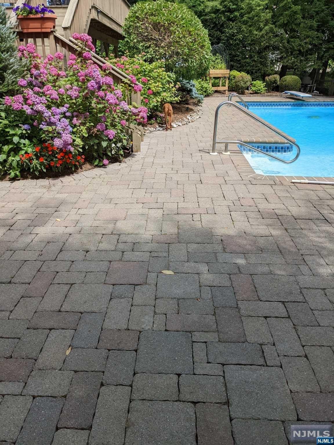 91 Cedar Drive