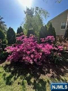 238 Mulberry Place