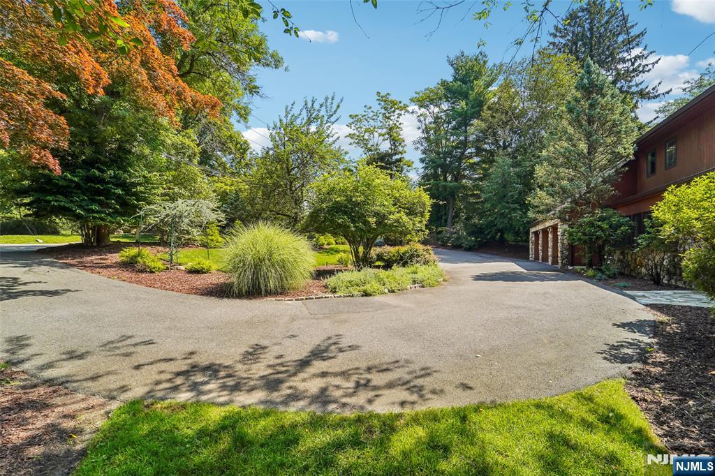 299 Forest Road