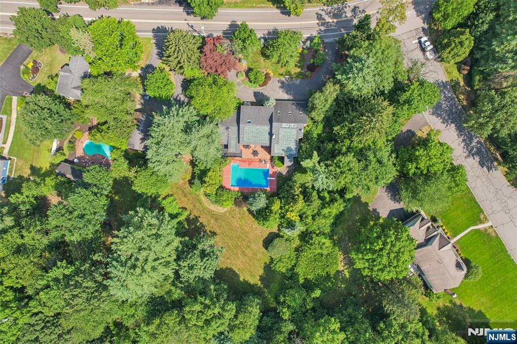 299 Forest Road