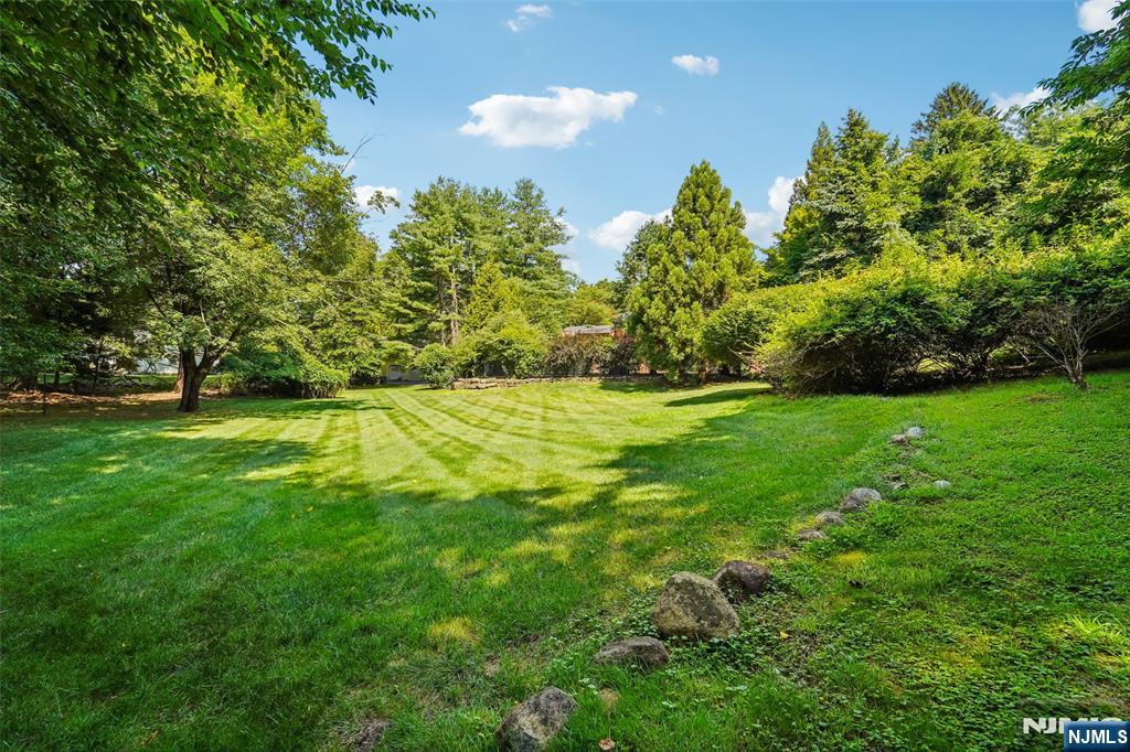 299 Forest Road