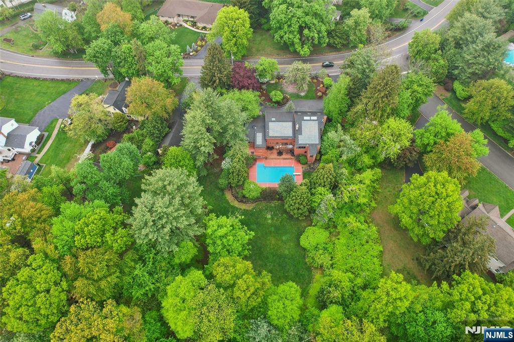 299 Forest Road