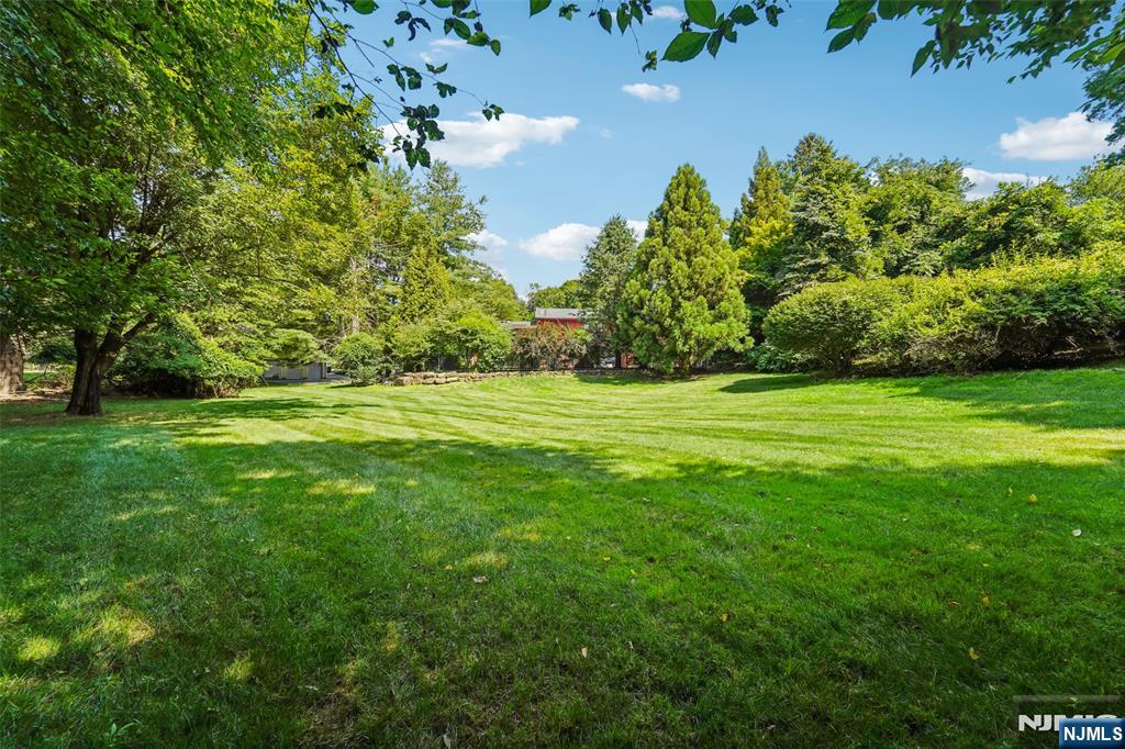 299 Forest Road