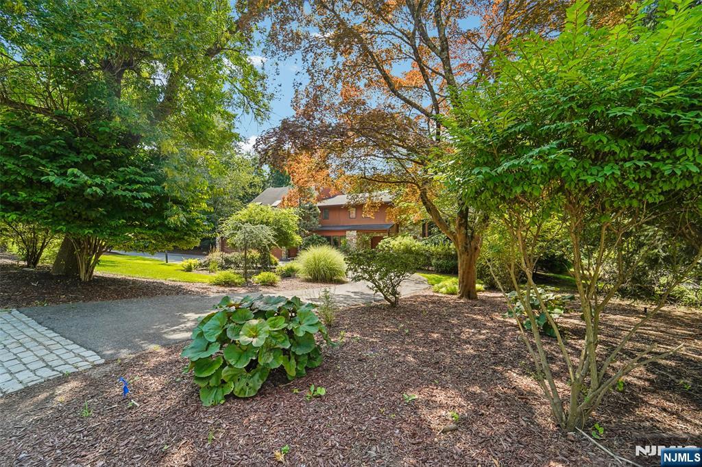 299 Forest Road