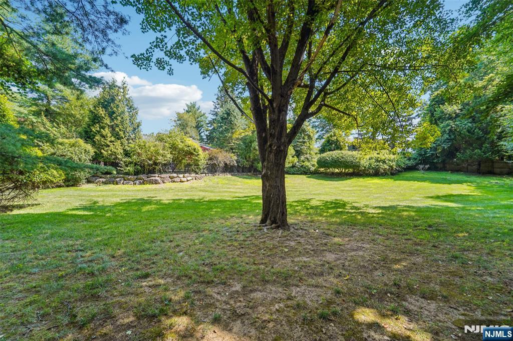 299 Forest Road