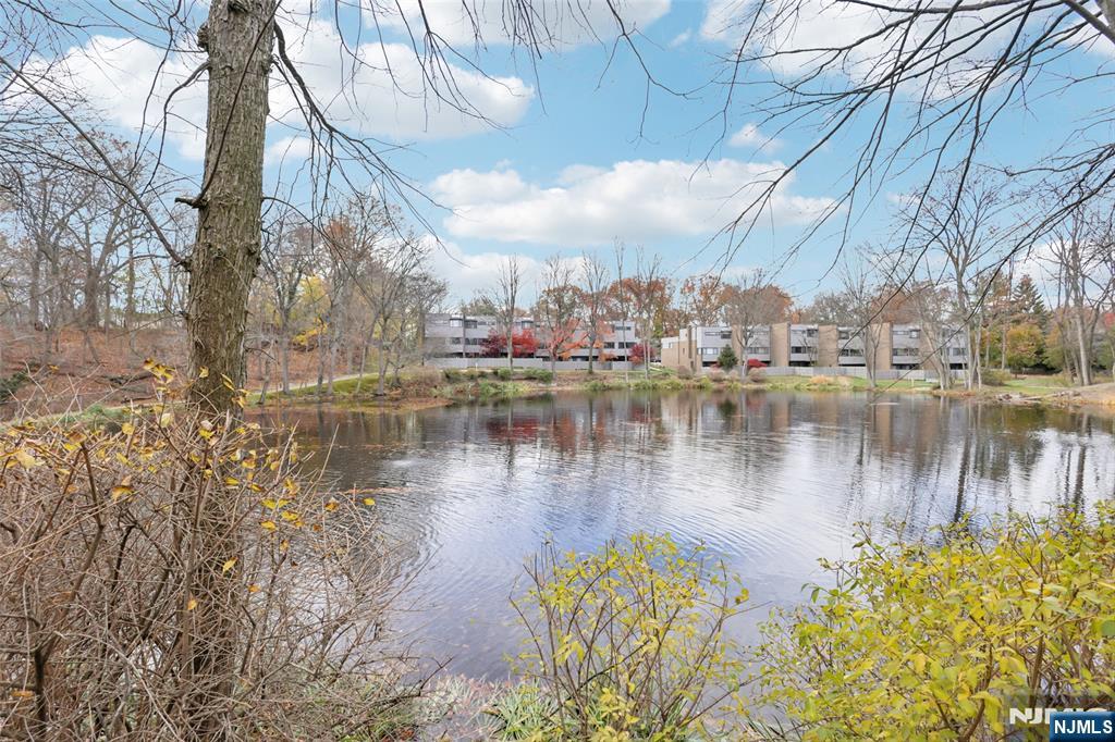 161 Pond Drive 13E