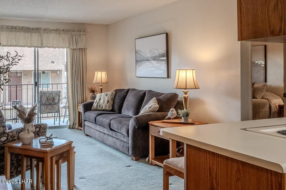 256 Lake Havasu Ave S, C57