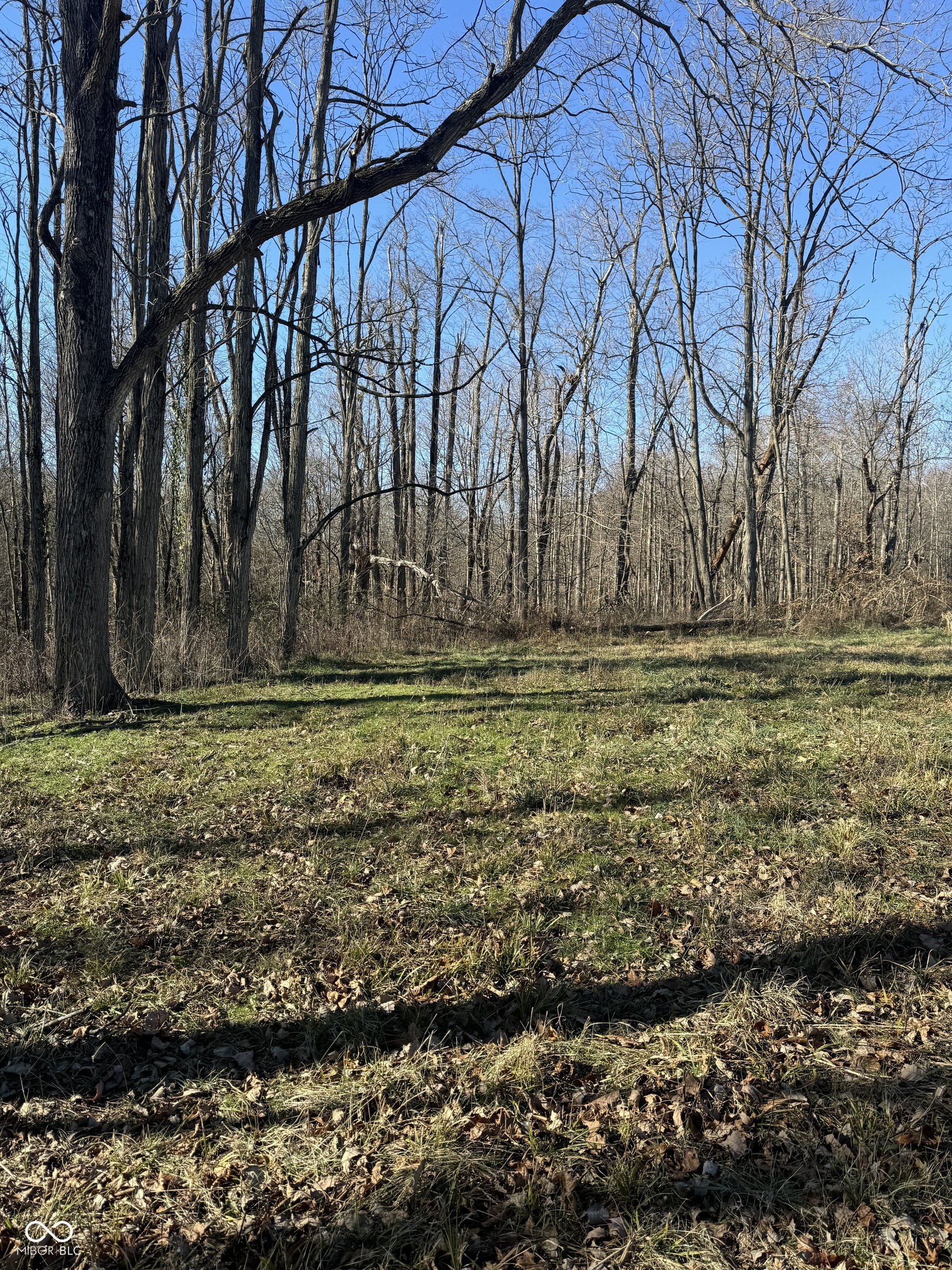 202 Doe Creek Drive