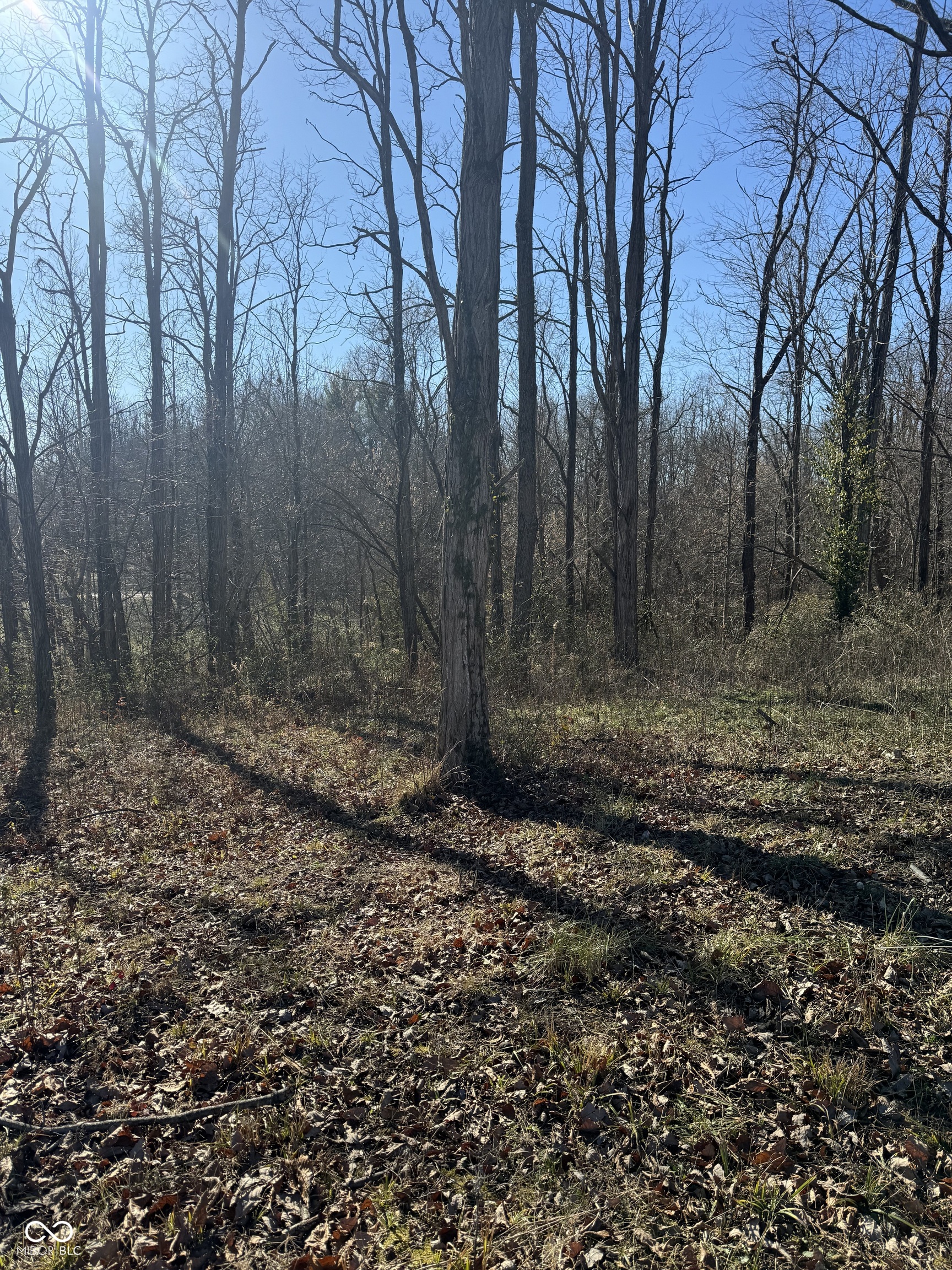 202 Doe Creek Drive
