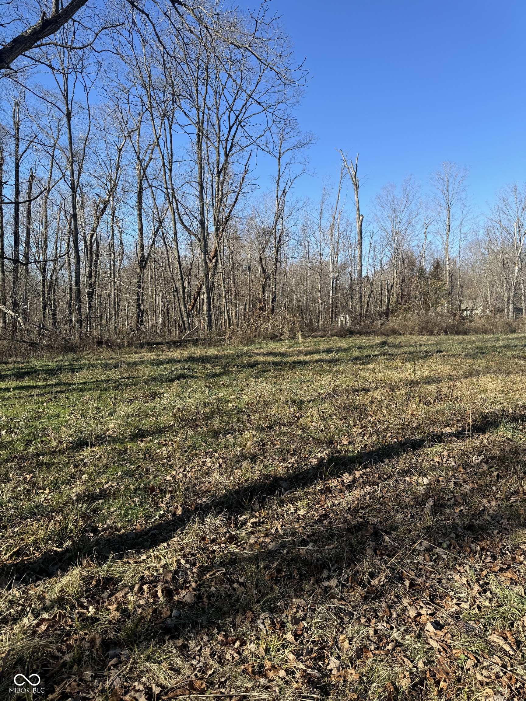 202 Doe Creek Drive