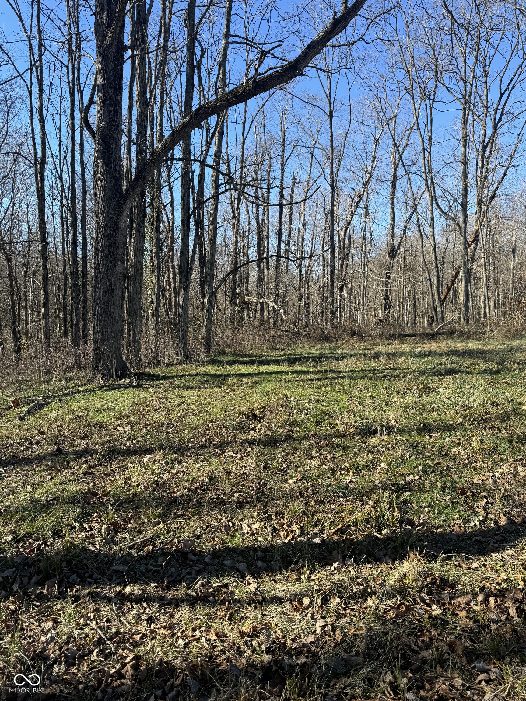 202 Doe Creek Drive