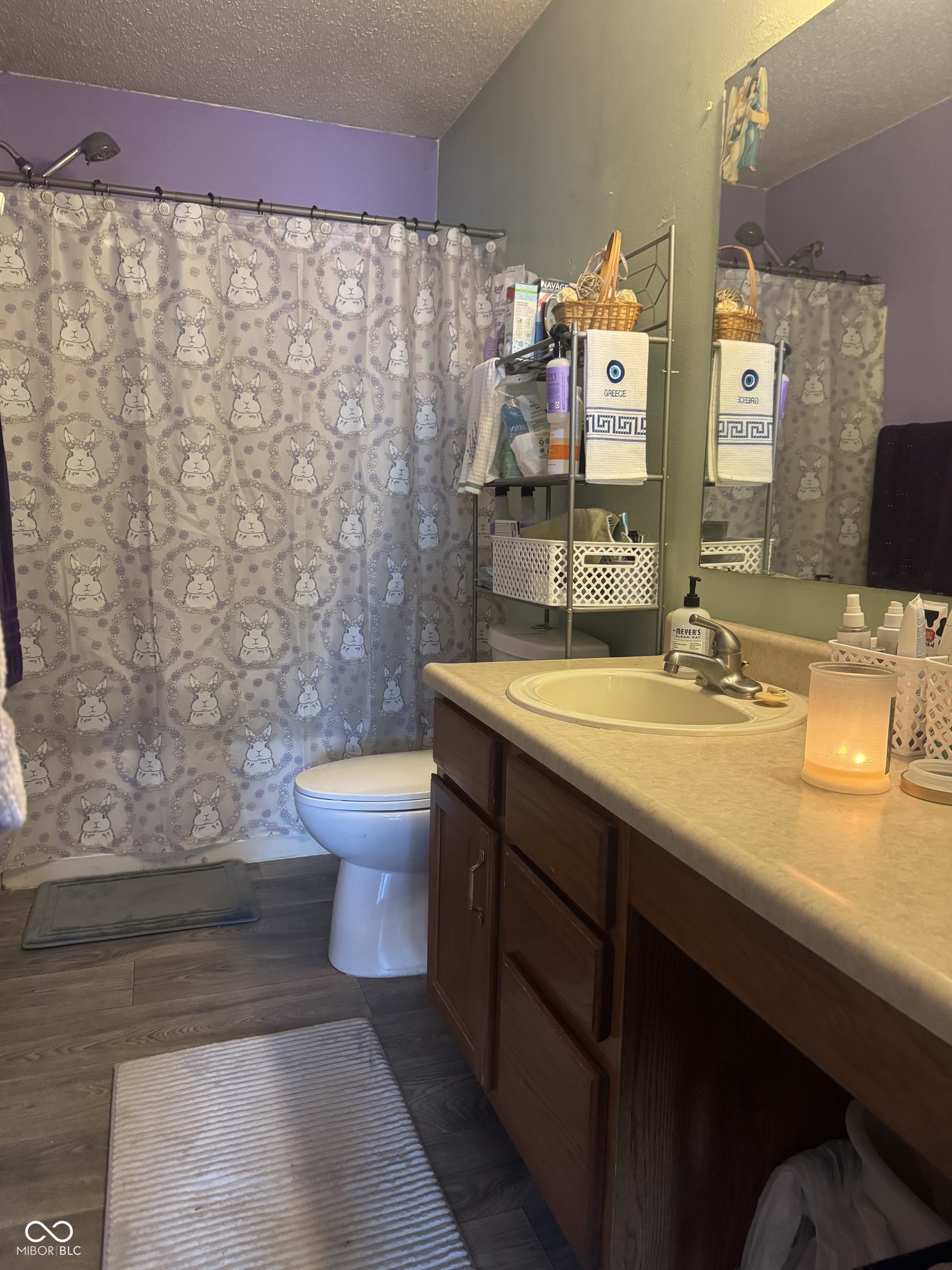 10793 Walnut Grove Bend