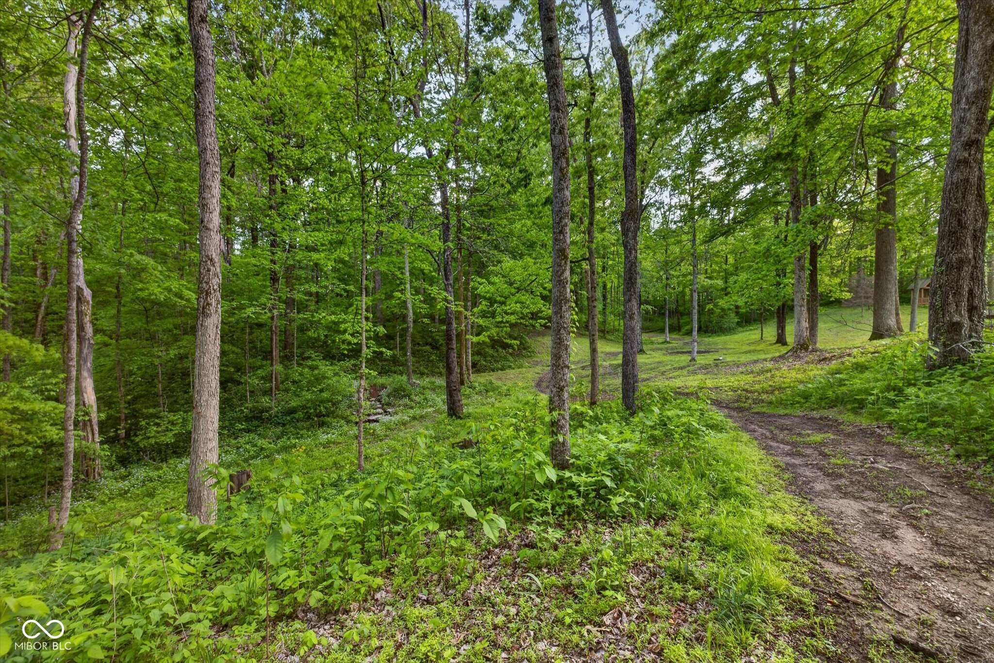 982 E Coonpath Road