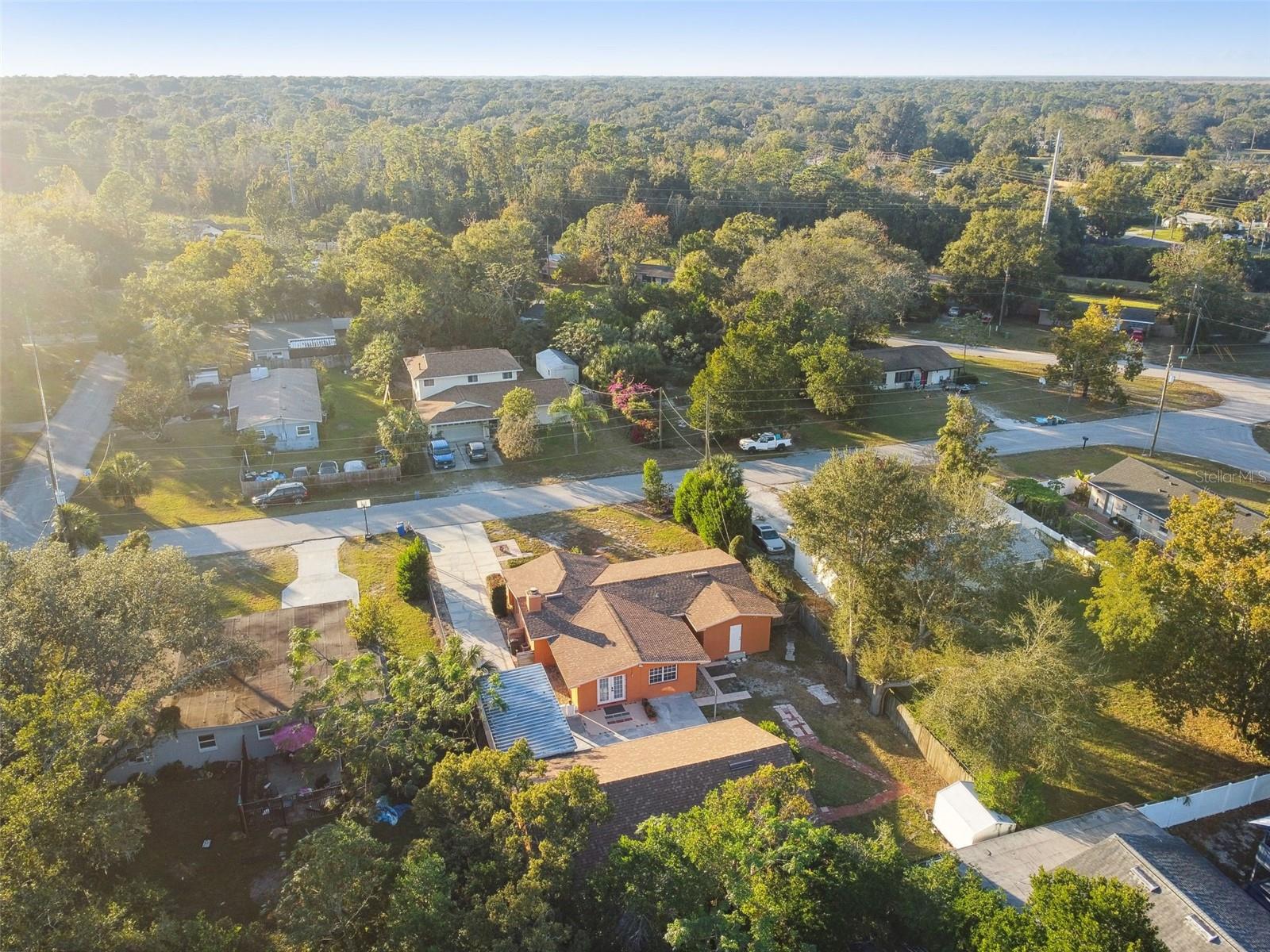 2141 CAMELLIA DR