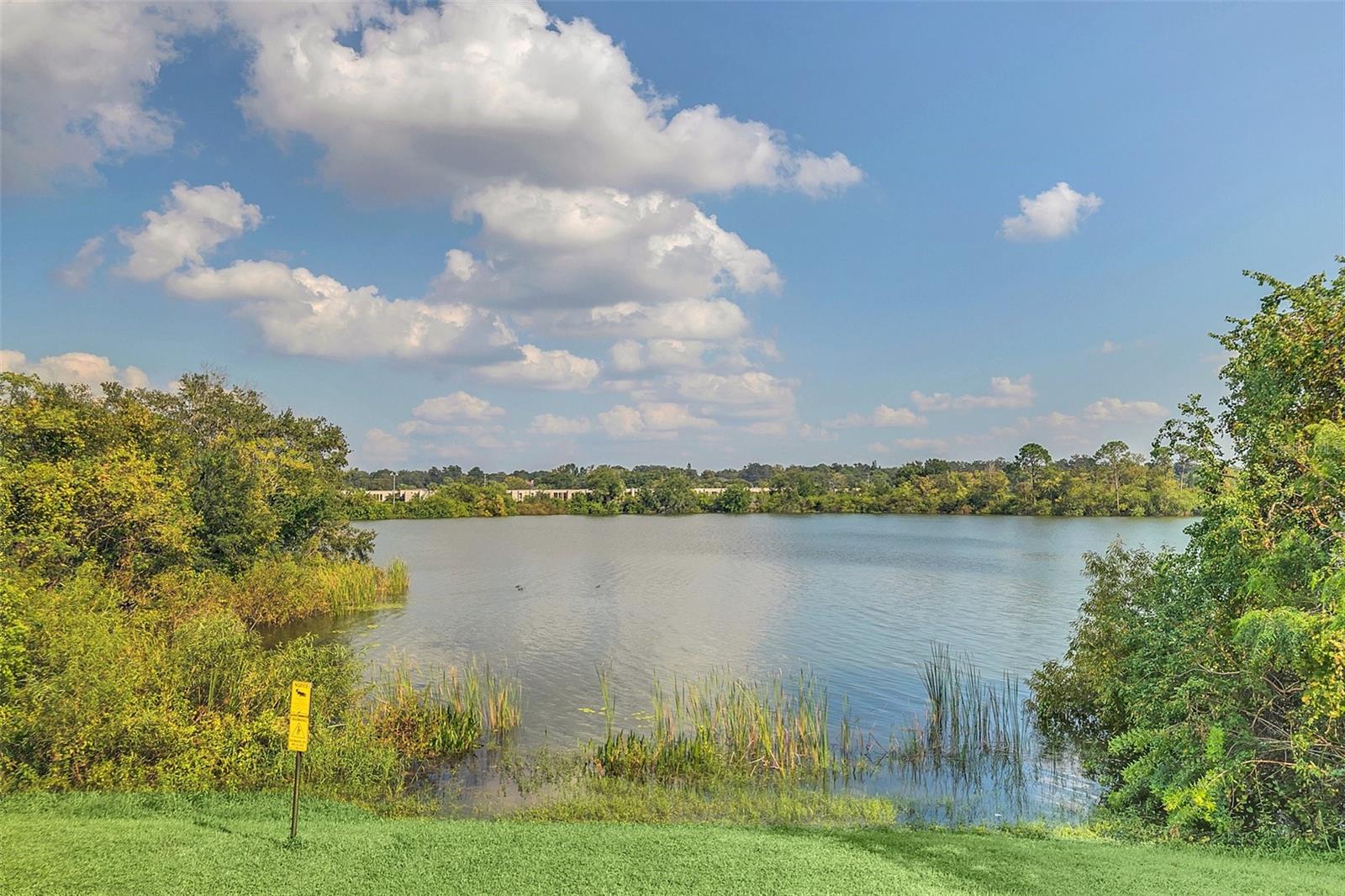 305 LAKEPOINTE DR #101