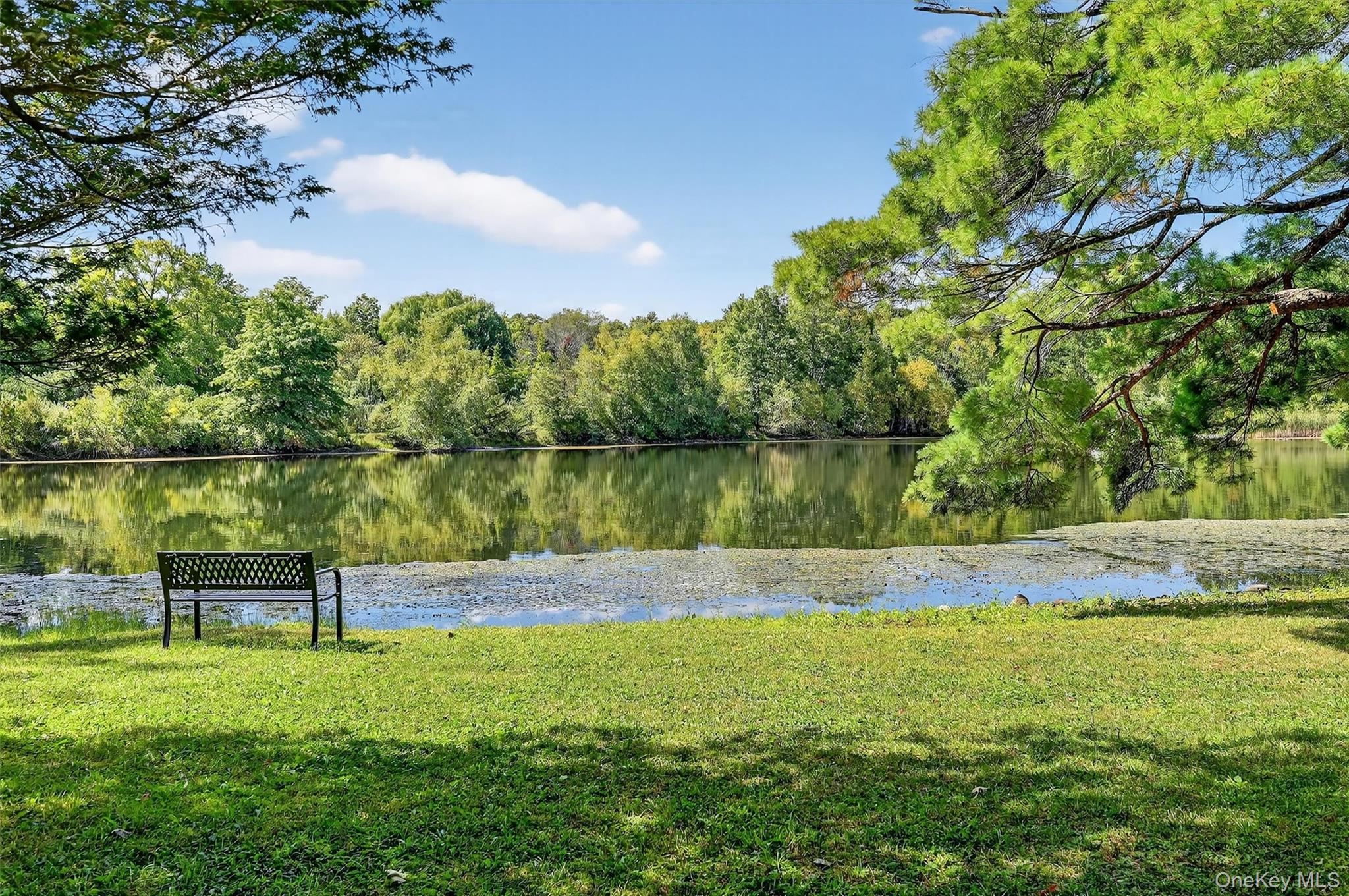 32-55 Claire Drive Unit: 32-55