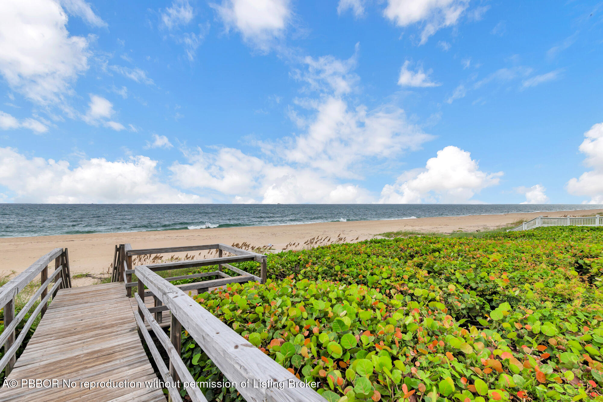 10 Sailfish Lane