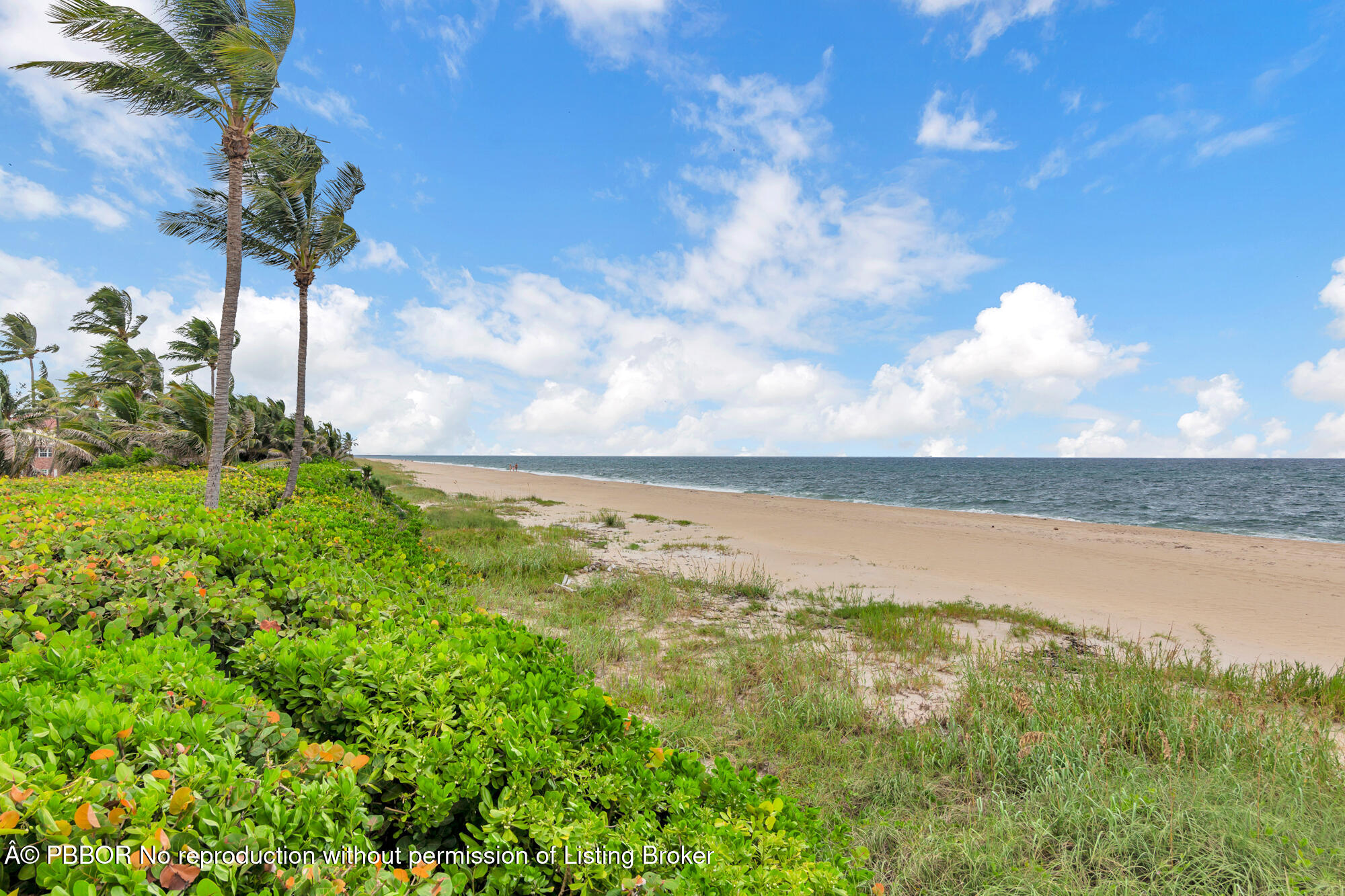 10 Sailfish Lane