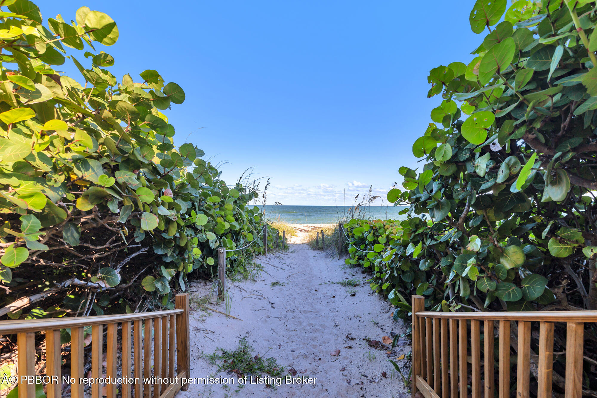 2773 S Ocean Boulevard, PH5