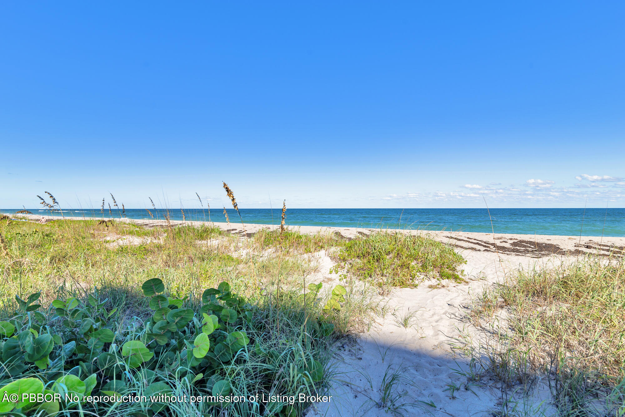 2773 S Ocean Boulevard, PH5