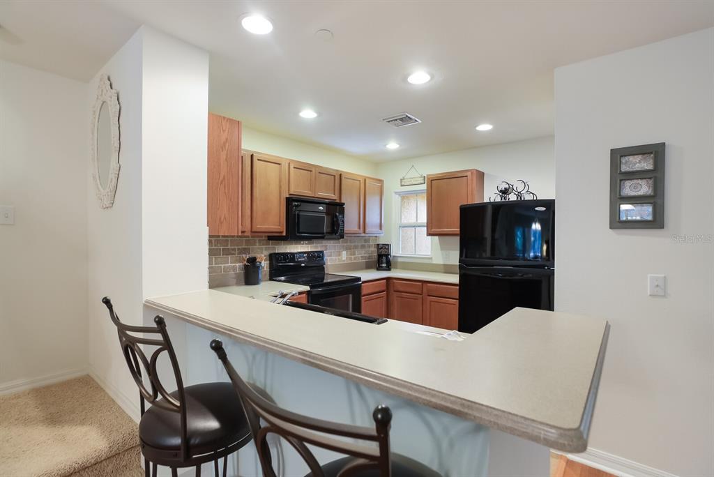 8809 WHITE SAGE LOOP