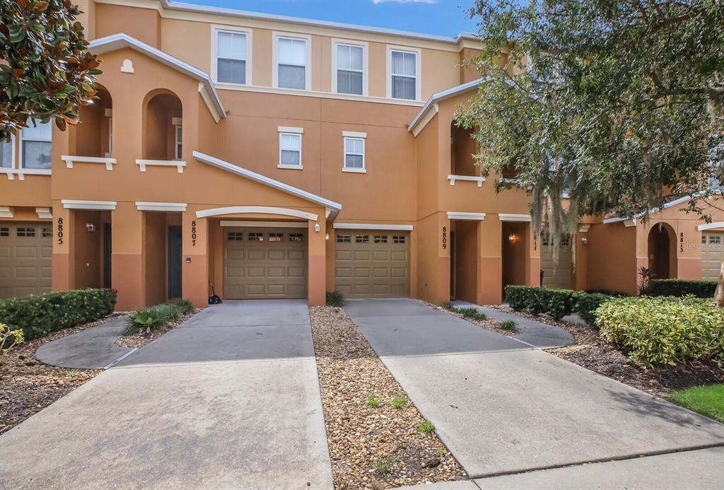 8809 WHITE SAGE LOOP