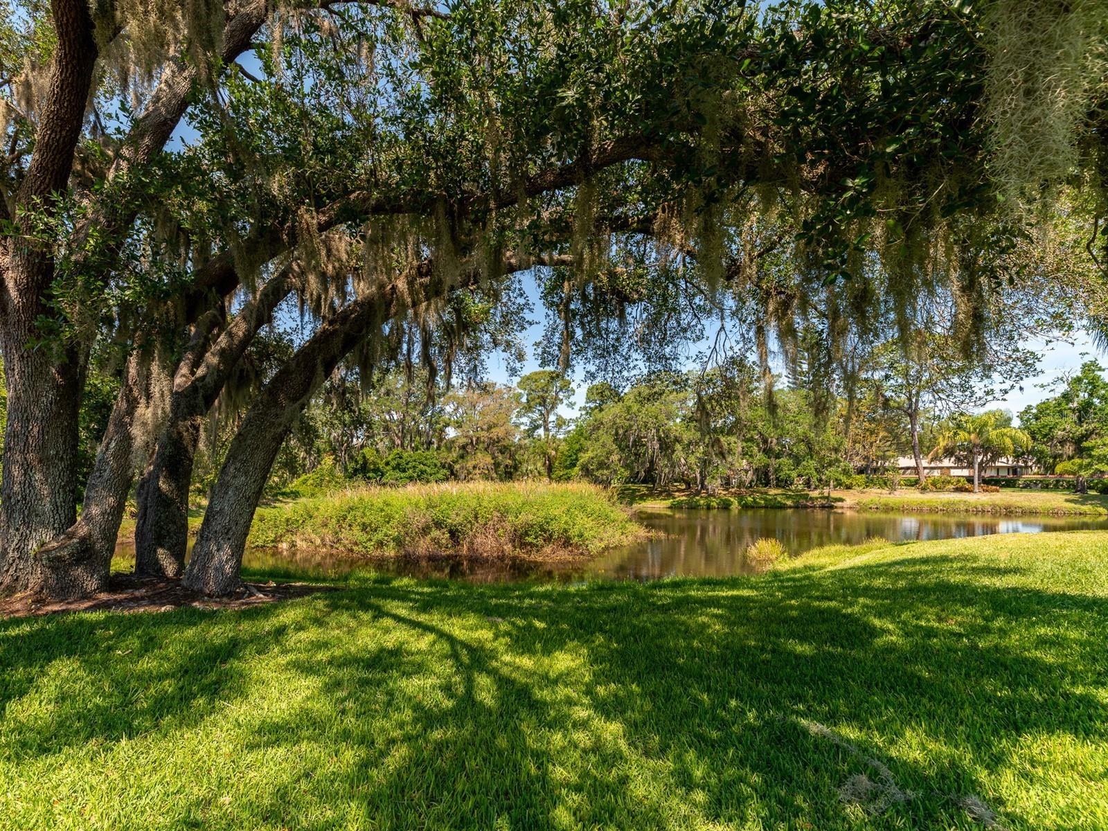 4503 LAKE VISTA DR #4