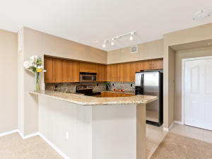 250 NE 3rd Avenue 515