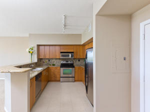 250 NE 3rd Avenue 515