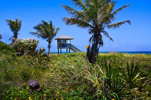 250 NE 3rd Avenue 515