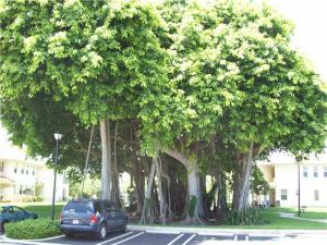 106 S Longport Circle 14c