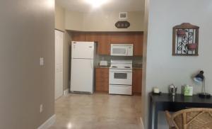 250 NE 3rd Avenue 1304