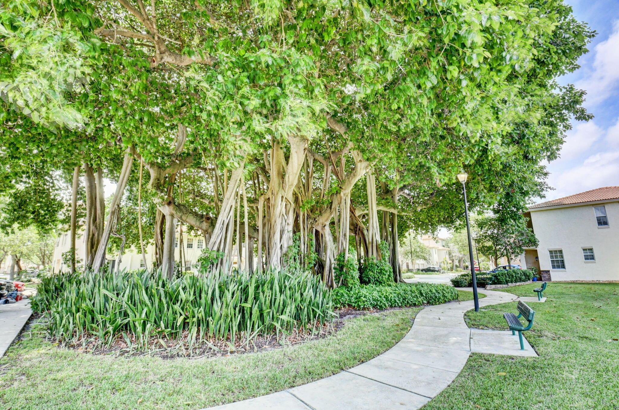 118 N Longport Circle D1