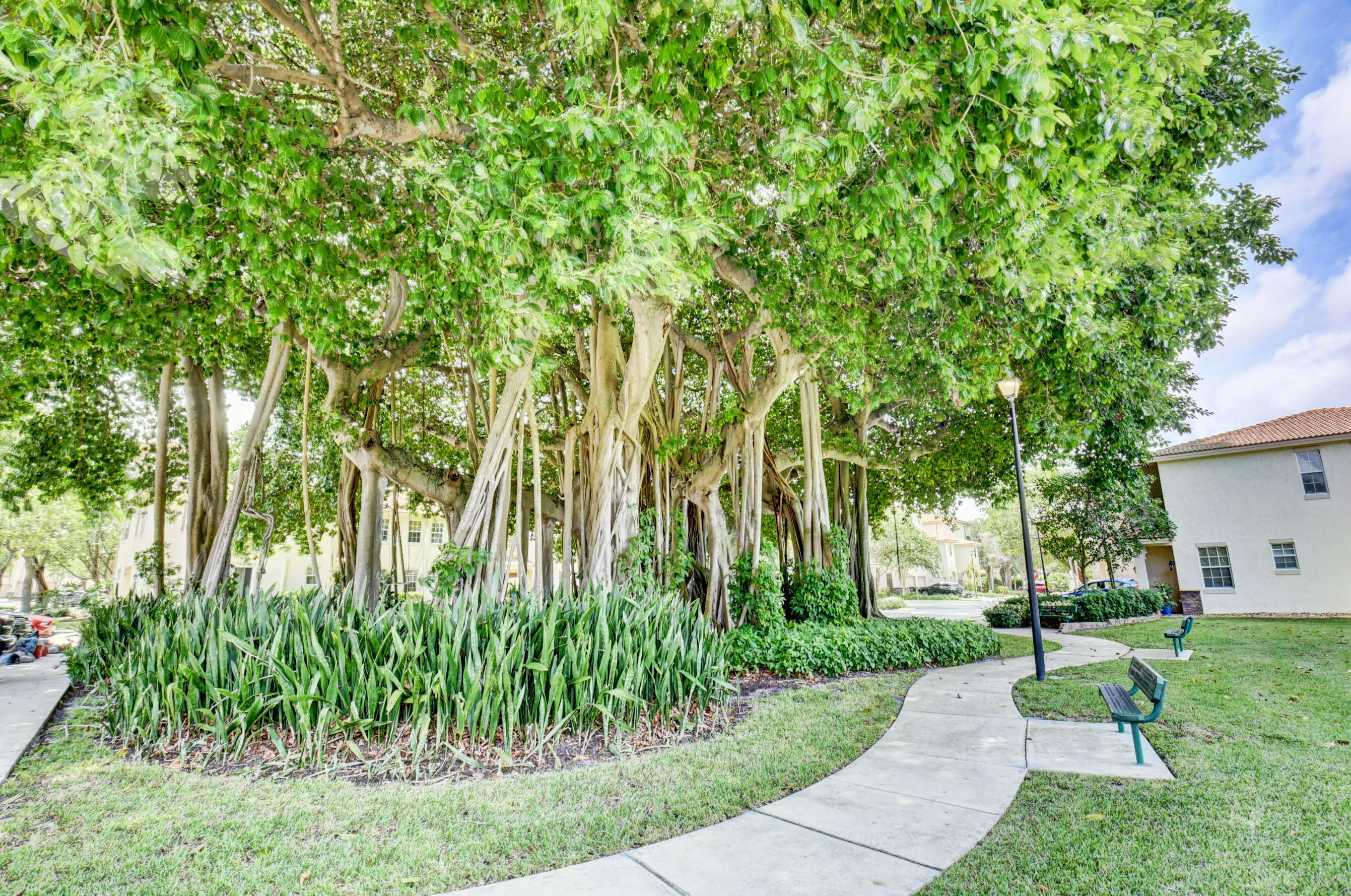 1019 W Longport Circle 5b