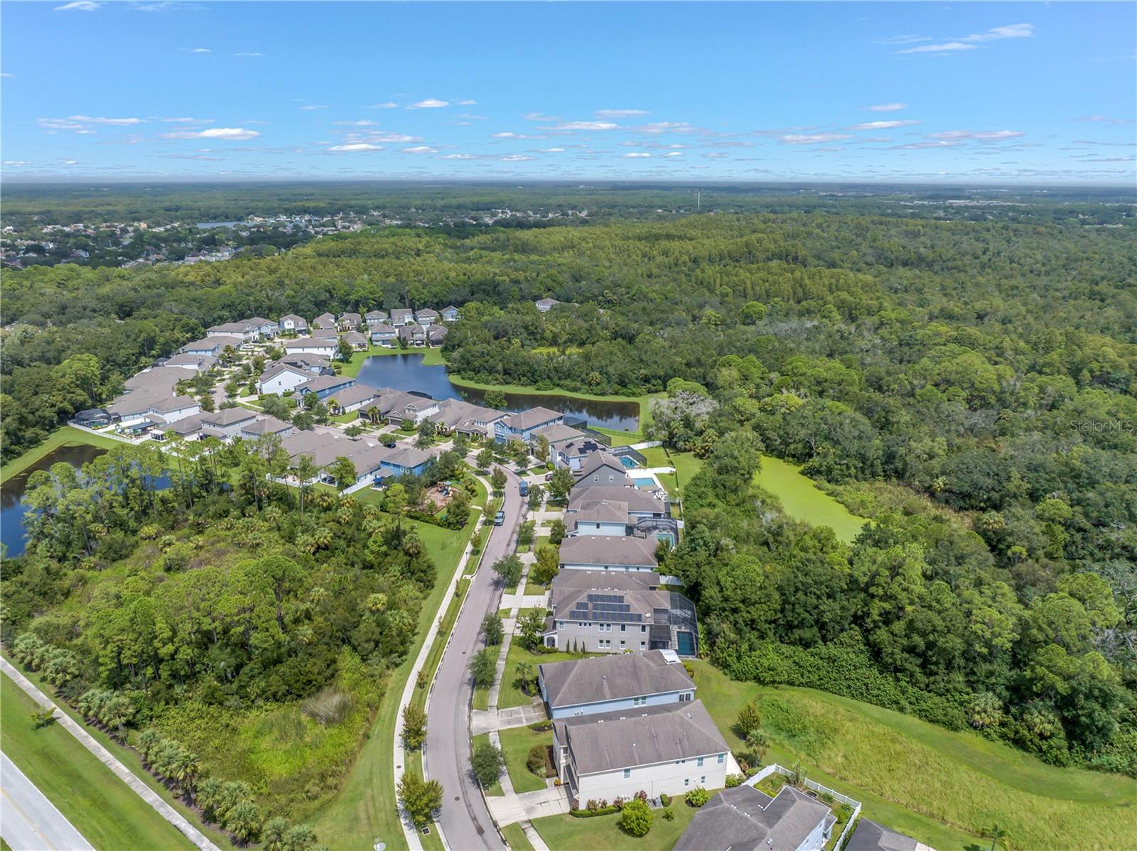 11405 QUIET FOREST DR