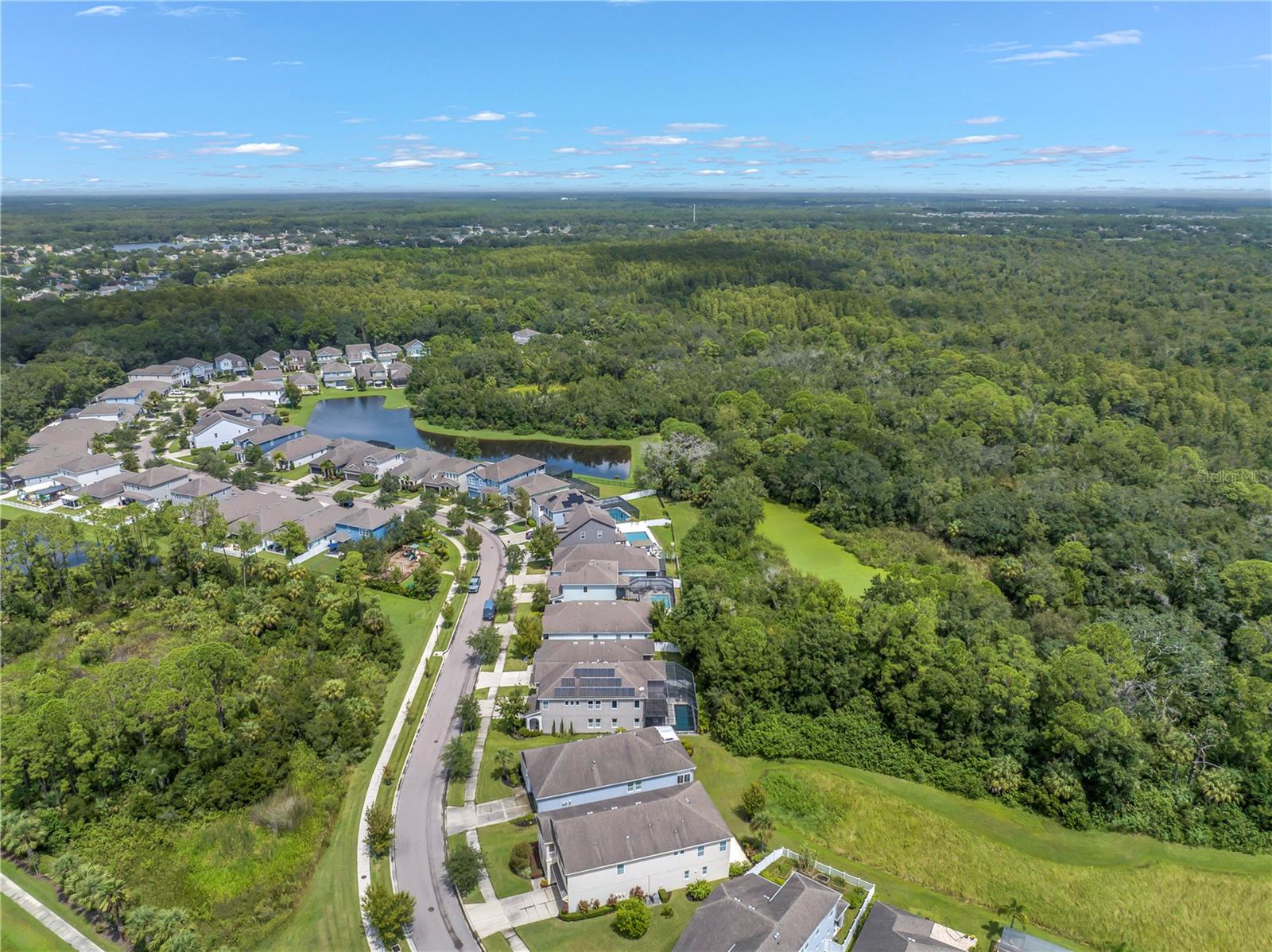 11405 QUIET FOREST DR