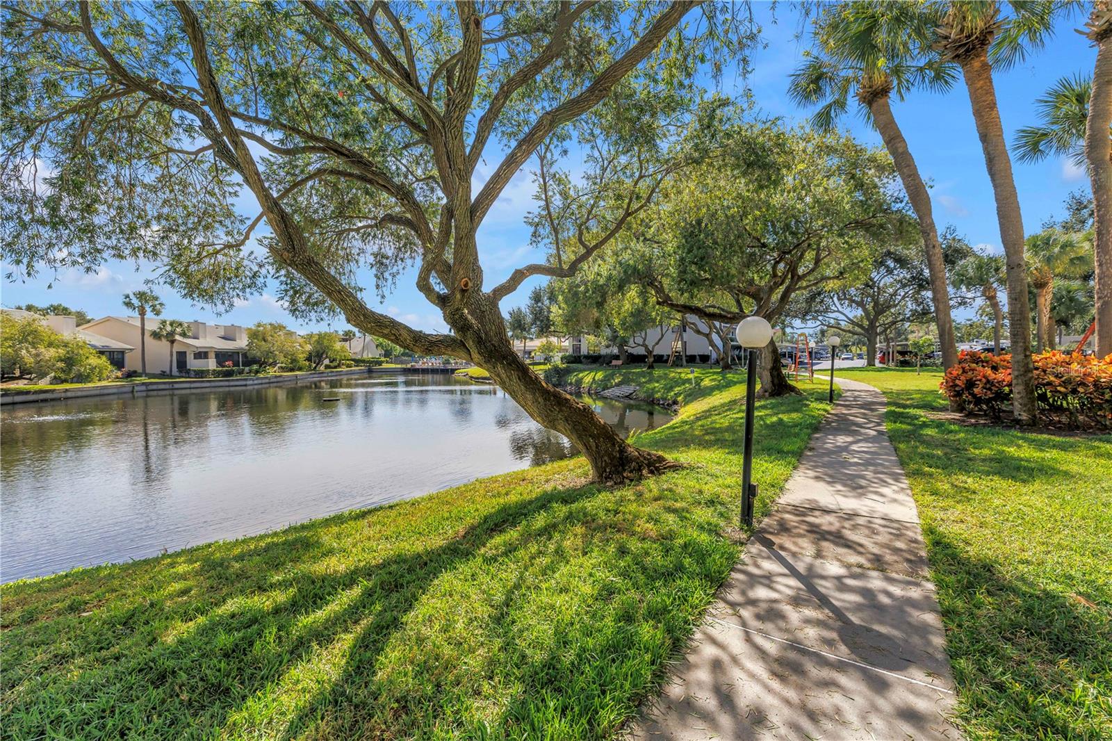 1320 PASADENA AVE S #203