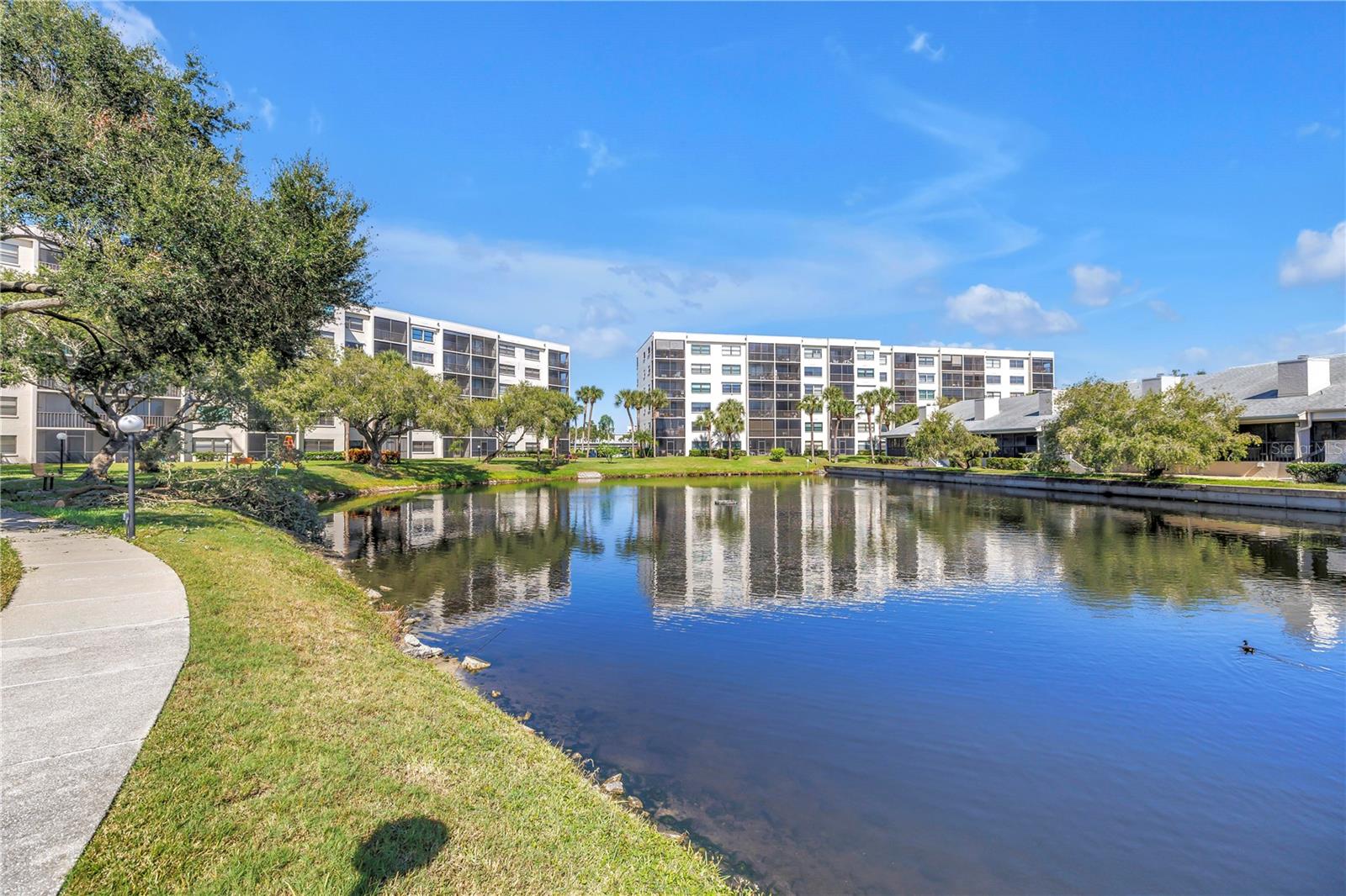 1320 PASADENA AVE S #203