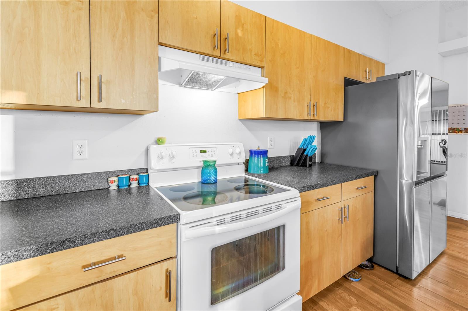 3000 DR MARTIN LUTHER KING JR ST S