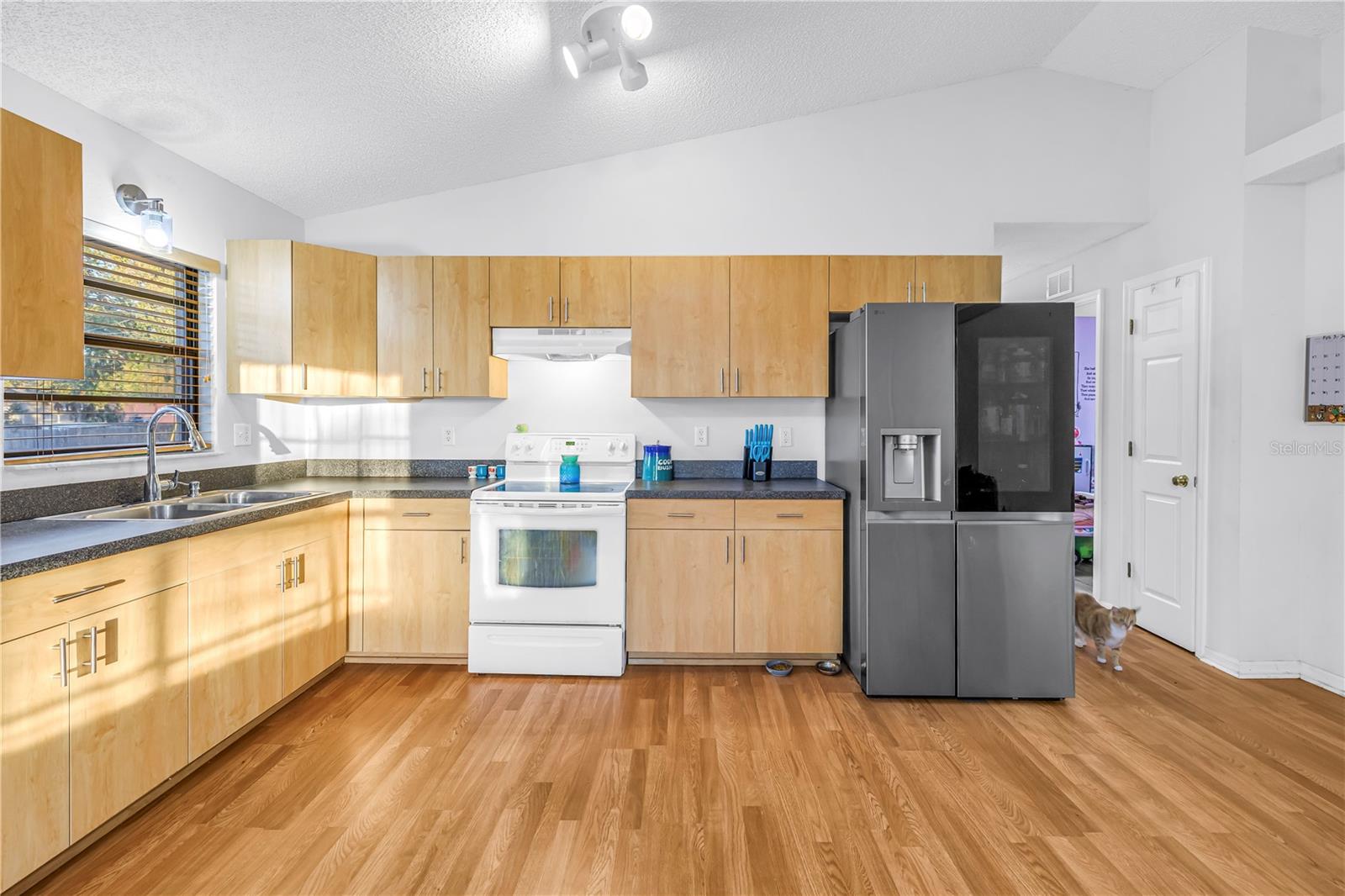 3000 DR MARTIN LUTHER KING JR ST S