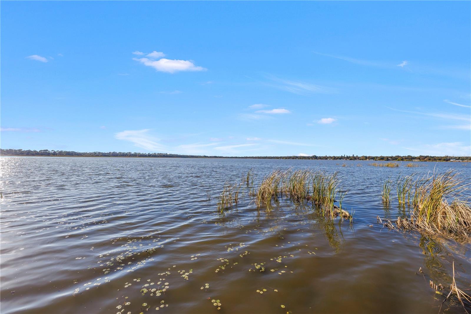 3000 DR MARTIN LUTHER KING JR ST S