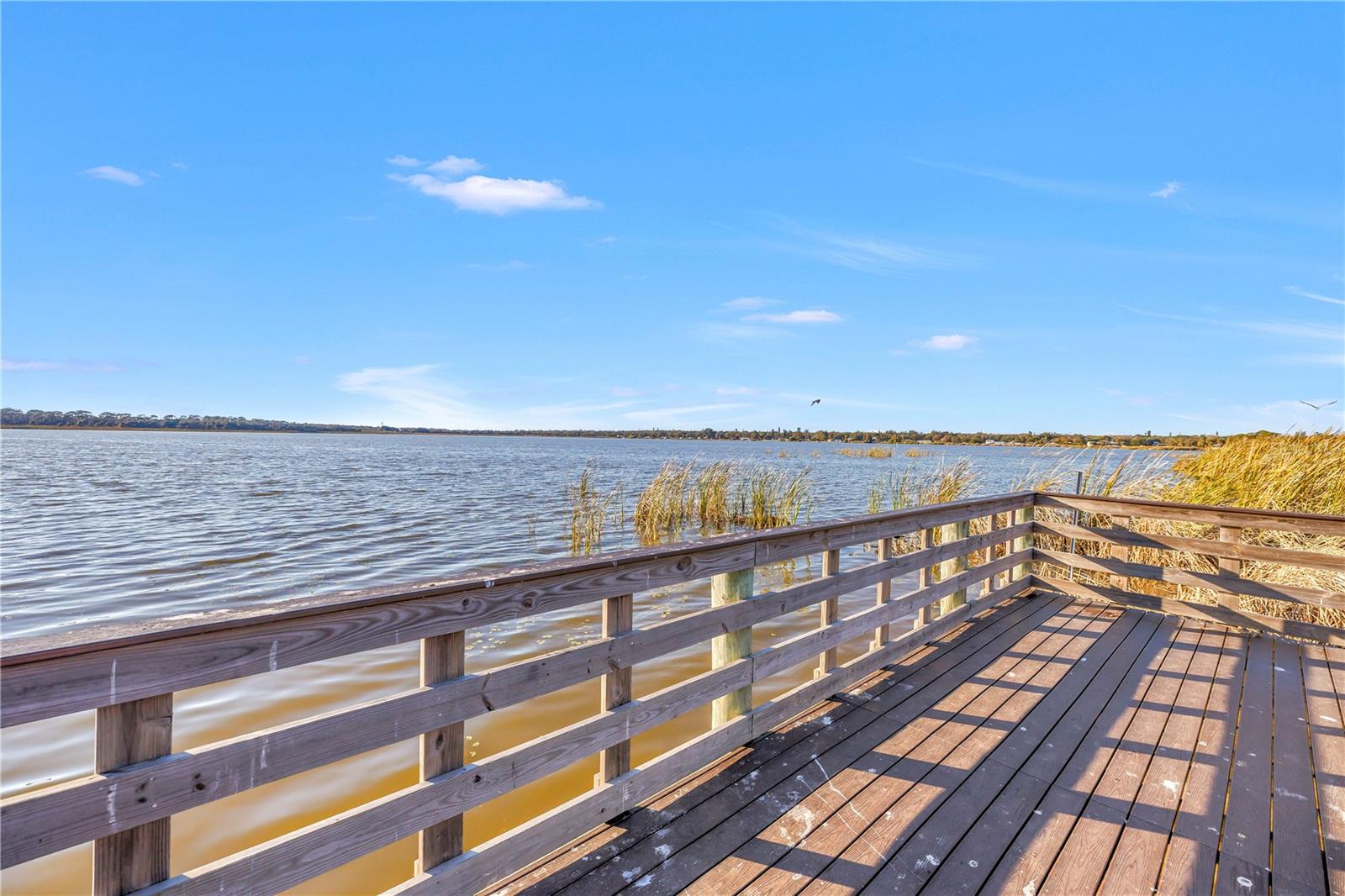 3000 DR MARTIN LUTHER KING JR ST S