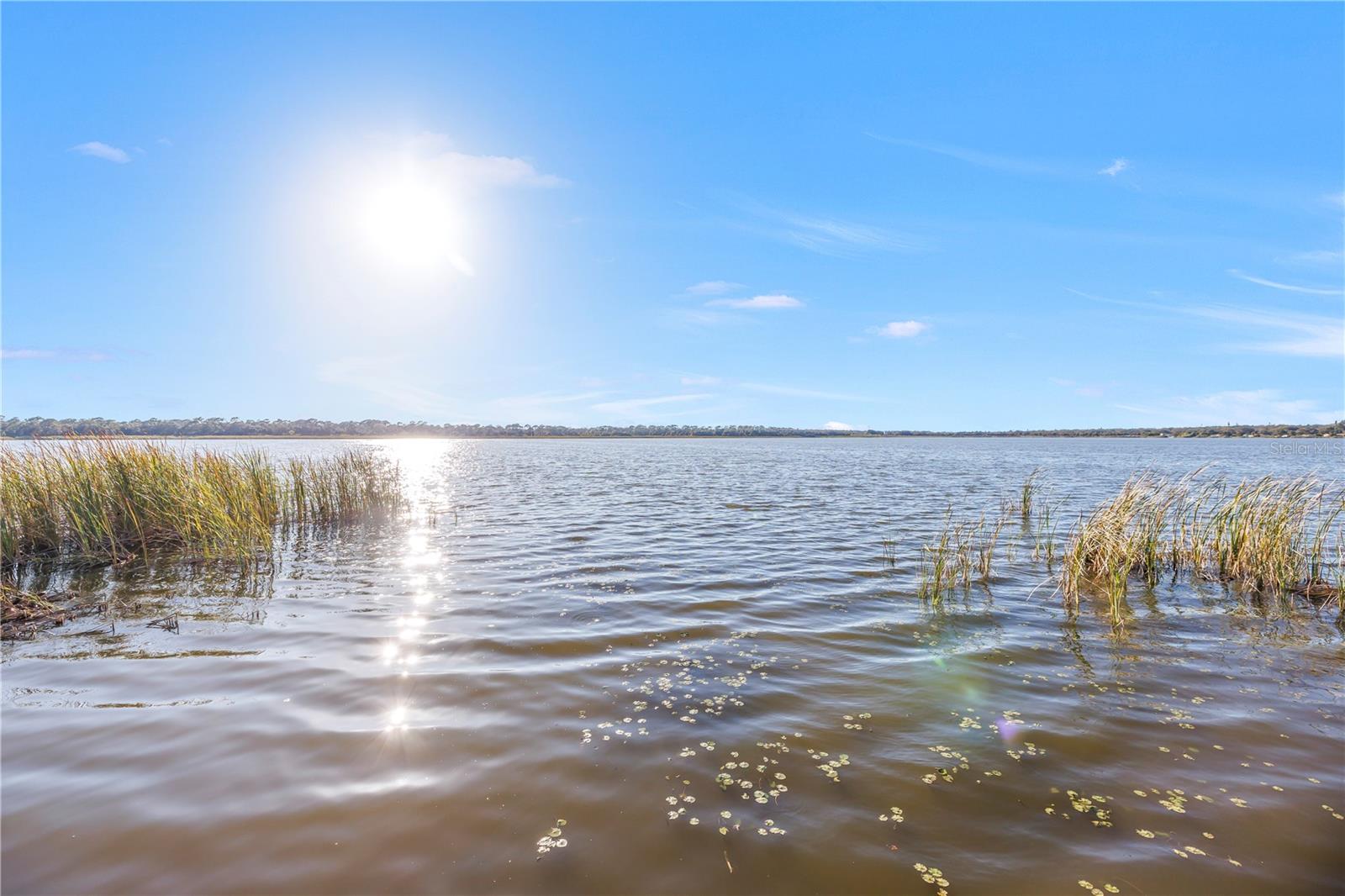 3000 DR MARTIN LUTHER KING JR ST S