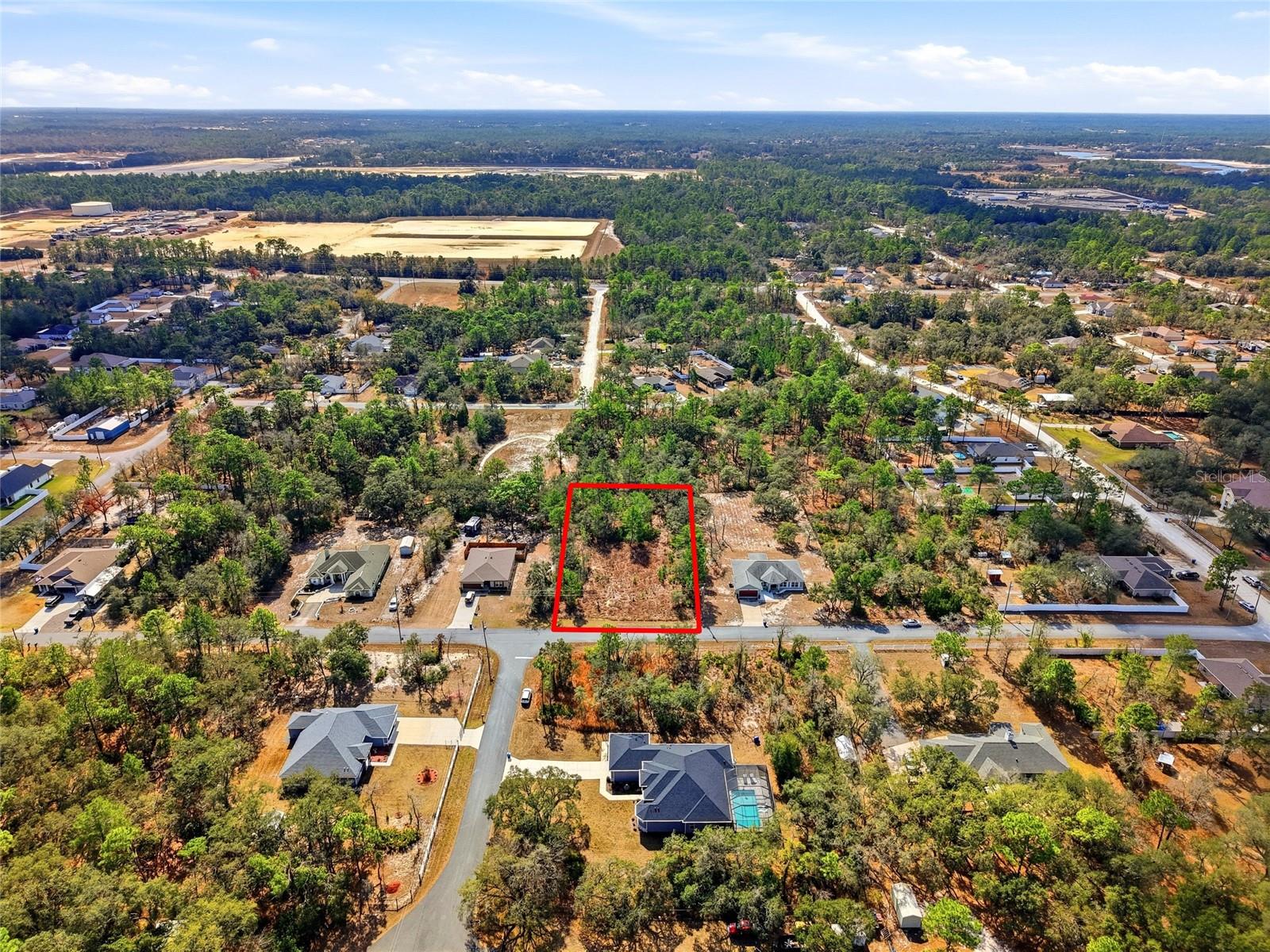 11263 MEXICAN CANARY AVE