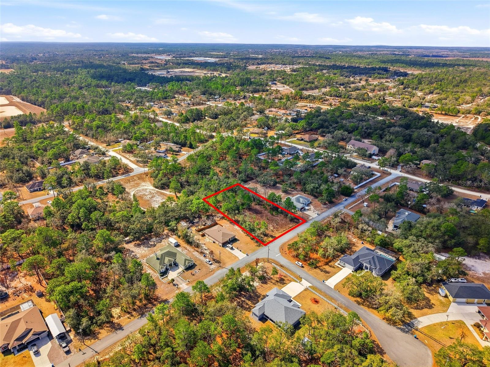 11263 MEXICAN CANARY AVE