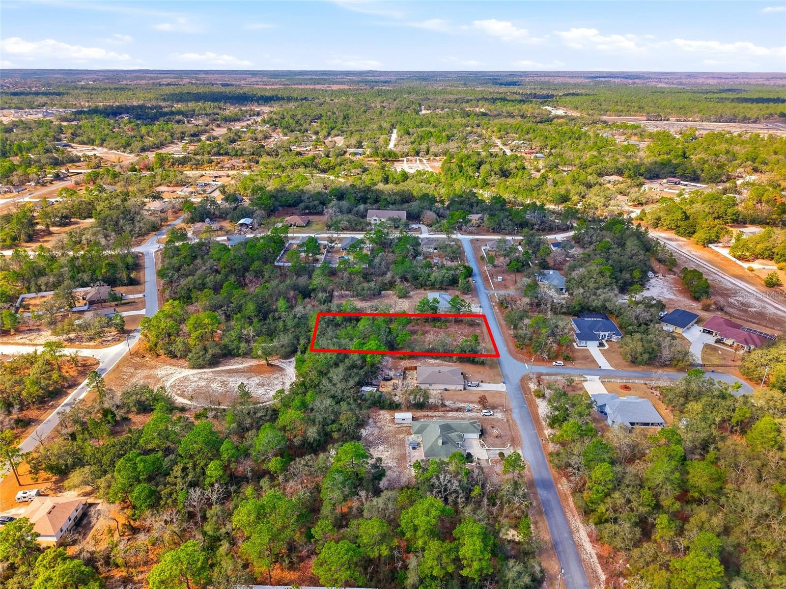 11263 MEXICAN CANARY AVE