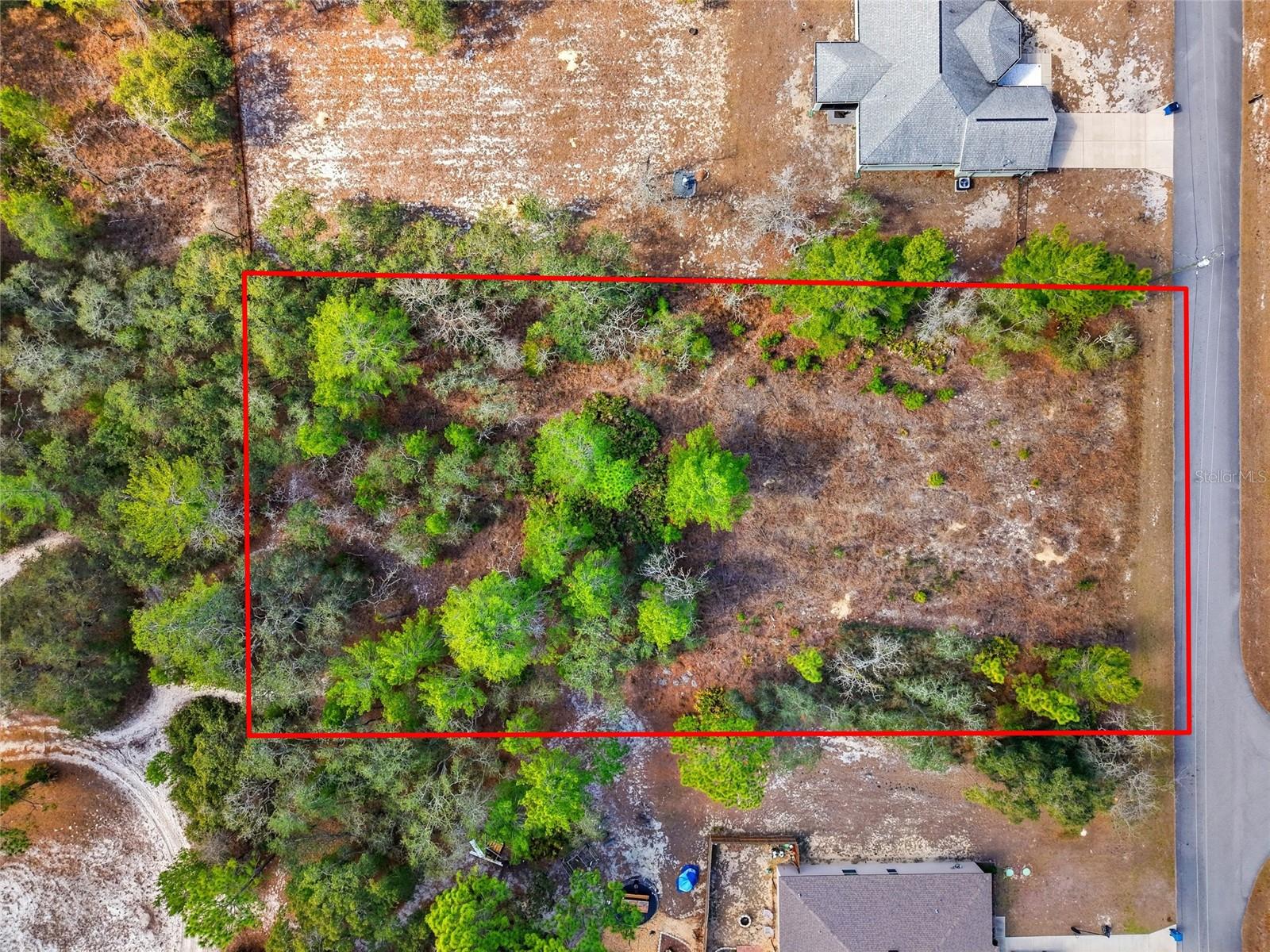 11263 MEXICAN CANARY AVE